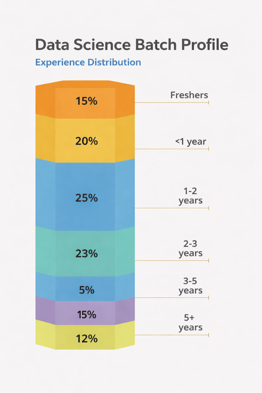 Experience Distribution Chart